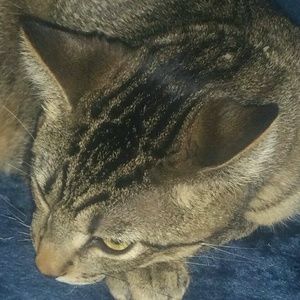 Meet your Posher, Bethany